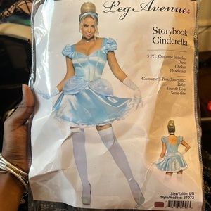 Cinderella Costume
